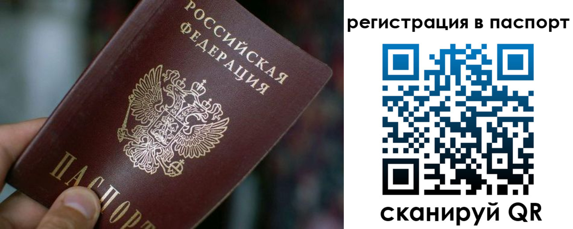 временная регистрация недорого в Клинцах